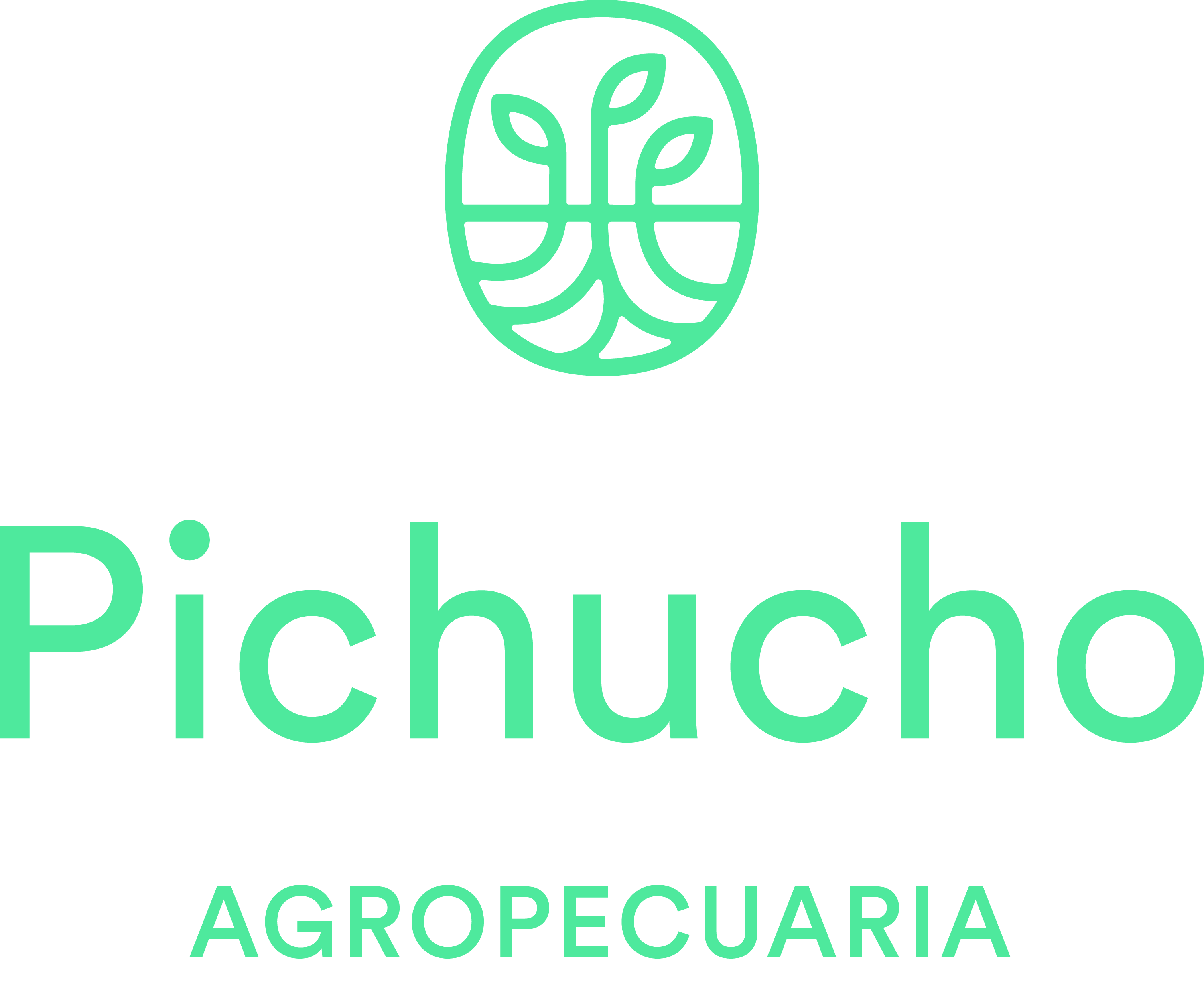 Pichucho S.A.S.